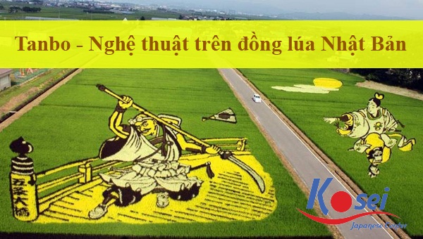 Tanbo – Nghệ Thuật Trên Đồng Lúa Nhật Bản